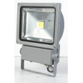 Portable High Power 10W LED Flood Light (SLFD11 COB)